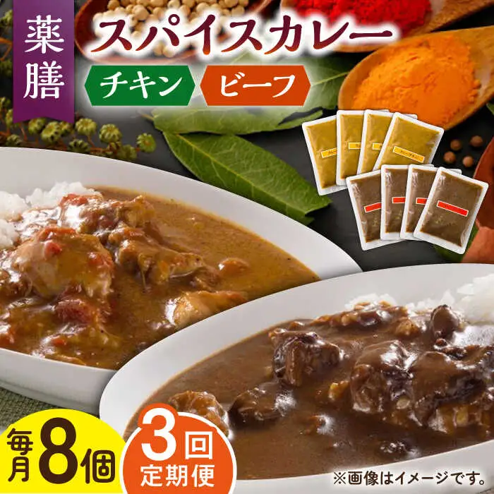 【3回定期便】薬膳スパイスカレー 計8食 チキン・ビーフ /自然庵 [UCQ010] カレー