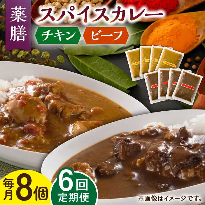 【6回定期便】薬膳スパイスカレー 計8食 チキン・ビーフ /自然庵 [UCQ011] カレー