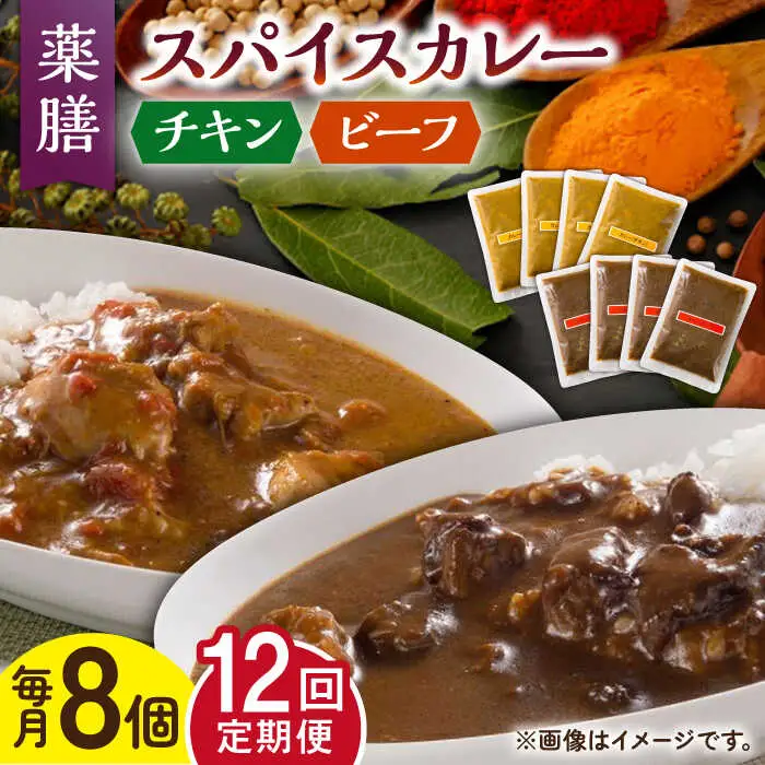【12回定期便】薬膳スパイスカレー 計8食 チキン・ビーフ /自然庵 [UCQ012] カレー