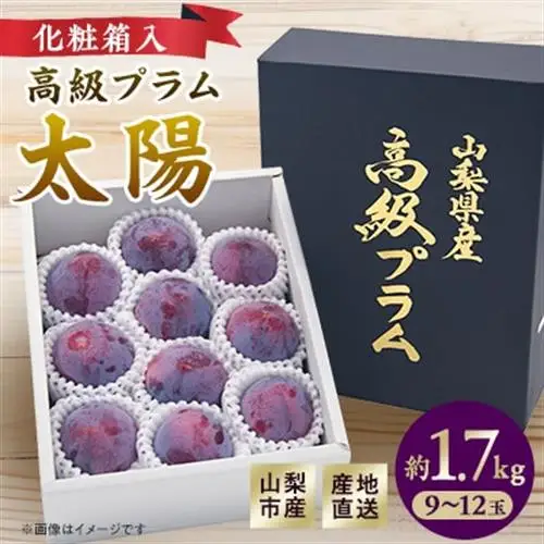 【2027年発送先行受付】山梨市産プラム　太陽　約1.7kg(9～12玉)【配送不可地域：離島・沖縄県】【1431878】