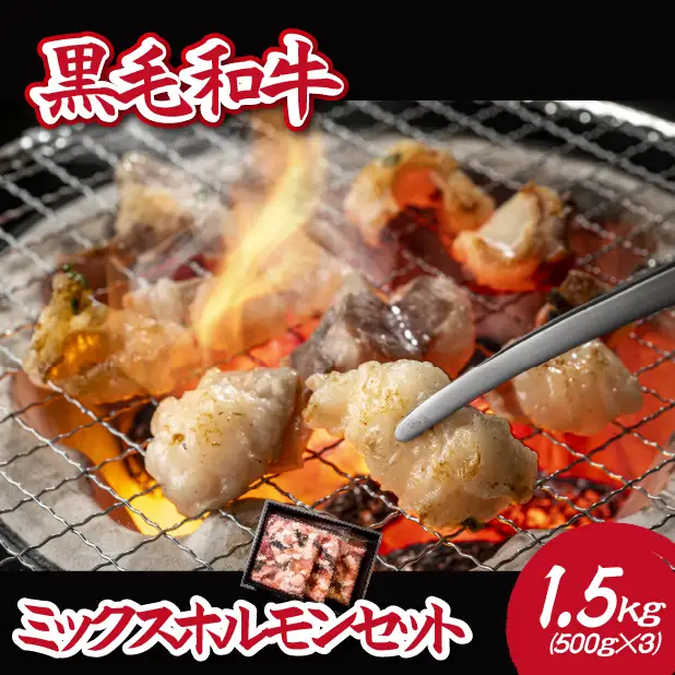 黒毛和牛ミックスホルモン 1.5㎏ ホルモン