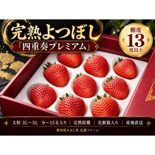 【産直】完熟よつぼし『四重奏プレミアム』　愛知県みよし市　【配送不可地域：離島・北海道・沖縄県】【1284759】