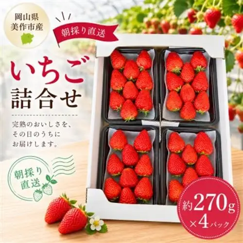 【2027年1月発送開始】【訳アリ】岡山県美作市産　いちご詰合せ(約270g×4パック)【配送不可地域：離島・北海道・沖縄県】【1073695】