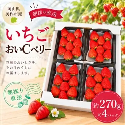 【2027年1月発送開始】岡山県美作市産　おいCベリー(約270g×4パック)【配送不可地域：離島・北海道・沖縄県】【1464411】