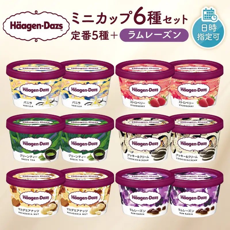 【着日指定できます】ハーゲンダッツ 『ミニカップ12個(定番＆ラムレーズン)』  アイス アイスクリーム_H0016-113