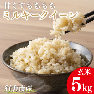 ★令和8年度産★甘くてもちもち ミルキークイーン5kg(玄米)｜米 お米 こめ ミルキークイーン 令和7年産 R7年産 玄米 茨城県 行方市(BR-9)
