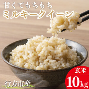 【2026年9月上旬から順次発送開始】★令和8年度産★甘くてもちもち ミルキークイーン10kg(玄米)｜米 お米 こめ ミルキークイーン 令和7年産 R7年産 玄米 茨城県 行方市(BR-10)