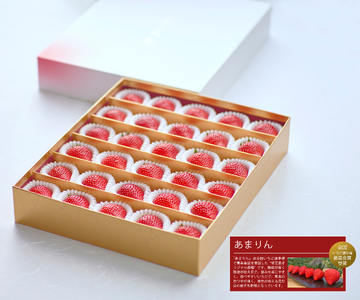 【先行予約】いちご あまりん 850g  苺 あまりん 贈答＼ 期間限定 特別寄附額 ／