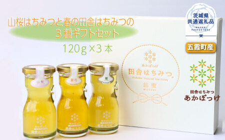 数量限定 山桜はちみつと春の田舎はちみつの3種ギフトセット 結蜜 Musubi-R3山桜 茨城県共通返礼品 生ハチミツ 非加熱 はちみつ 蜂蜜 無添加 天然 食べ比べ 各120g フレッシュチーズ プレーンヨーグルト そのままひと匙 トースト 紅茶 パンケーキ