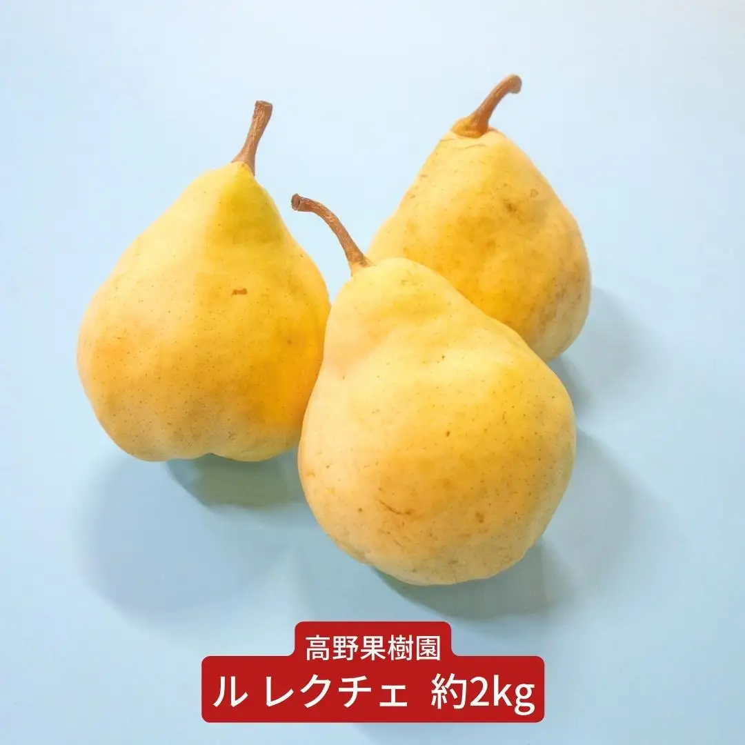 先行予約 ル レクチェ 2kg  三条市農業マイスターが育てた 新潟県産 ル レクチエ 洋梨