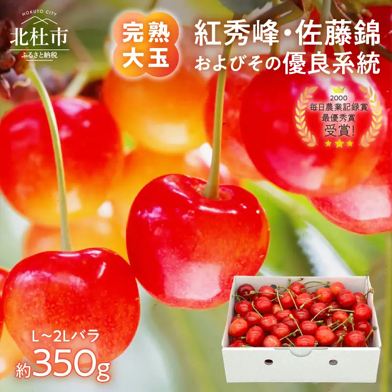 さくらんぼ 2027年 L～2Lバラ約350g サクランボ [h039]