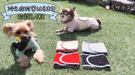 FB158_超小型犬・シニア犬の冷え性対策腹まき☆Sサイズ【お試し1枚】