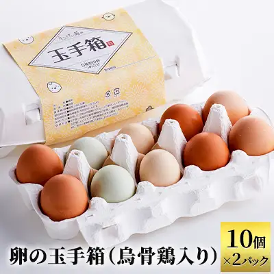卵 卵の玉手箱 10個×2パック 名古屋コーチン 卵