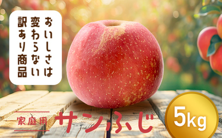 【令和8年産先行予約】 〈訳あり品 家庭用〉 りんご 「サンふじ」 約5kg バラ詰め 《令和8年12月上旬～令和9年2月下旬発送》 『カネタ高橋青果』 リンゴ 山形県 南陽市 [1958]