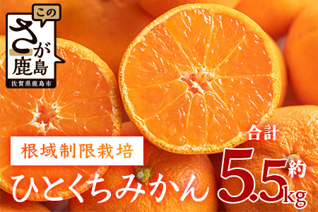 【１２月頃～１2月末までお届け】鹿島みかん 根域制限栽培一口みかん 約５.５ｋｇ A-178