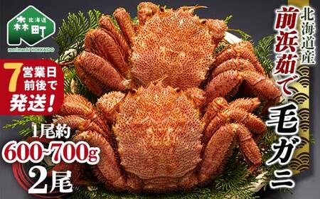 【7営業日前後で発送】北海道 毛ガニ 前浜茹で毛がに 約600g~700g 2尾 かに カニ 蟹 ガニ がに 森町 毛蟹 毛かに 毛がに 毛カニ 毛ガニ mr1-0721-1