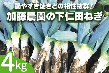  [先行予約] 産地直送！加藤農園の下仁田ねぎ 約4kg [12月中旬より順次発送] [0380]