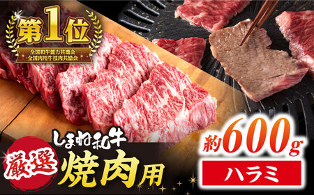【スピード配送】ハラミ 600g (250g×3パック)  小分け焼肉 熟成 牛肉 ハラミ [ALEF008]