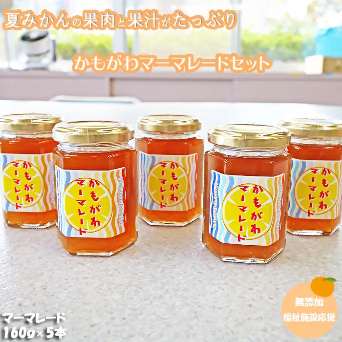 【福祉施設応援】夏みかんマーマレード５個セット [0010-0308]