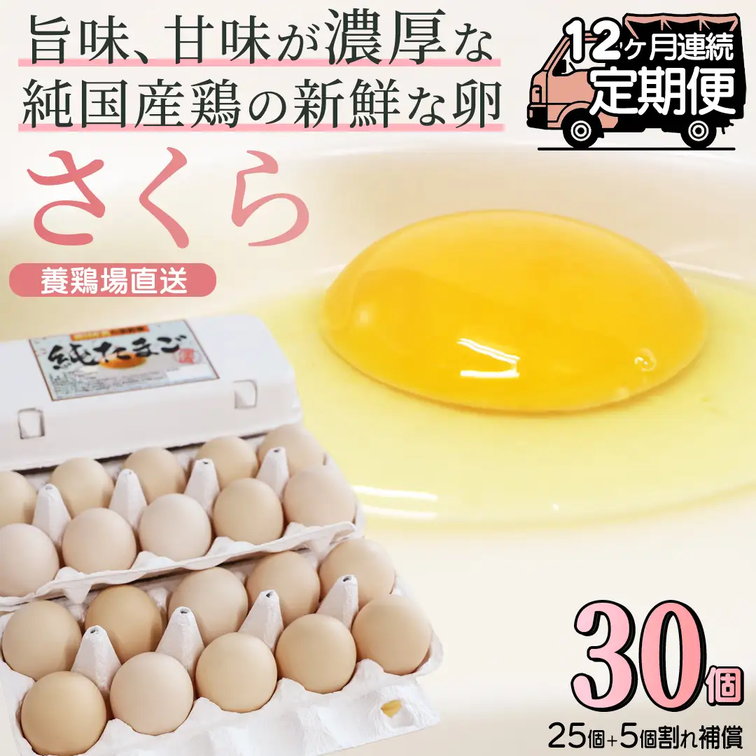 純国産鶏【さくら】純たまご30個入り 破損保証5個を含む【12ヶ月連続お届け】 (AJ030) 国産 卵 産地直送 飼料にこだわった 鶏卵