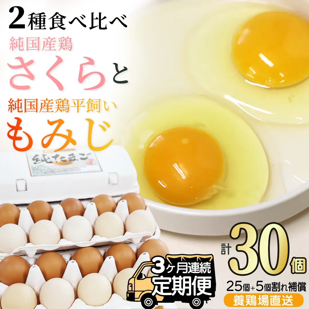 純国産鶏【さくらともみじ】純たまご30個入り 破損保証5個を含む【3ヶ月連続お届け】 (AJ032) 国産 卵 産地直送 飼料にこだわった 鶏卵