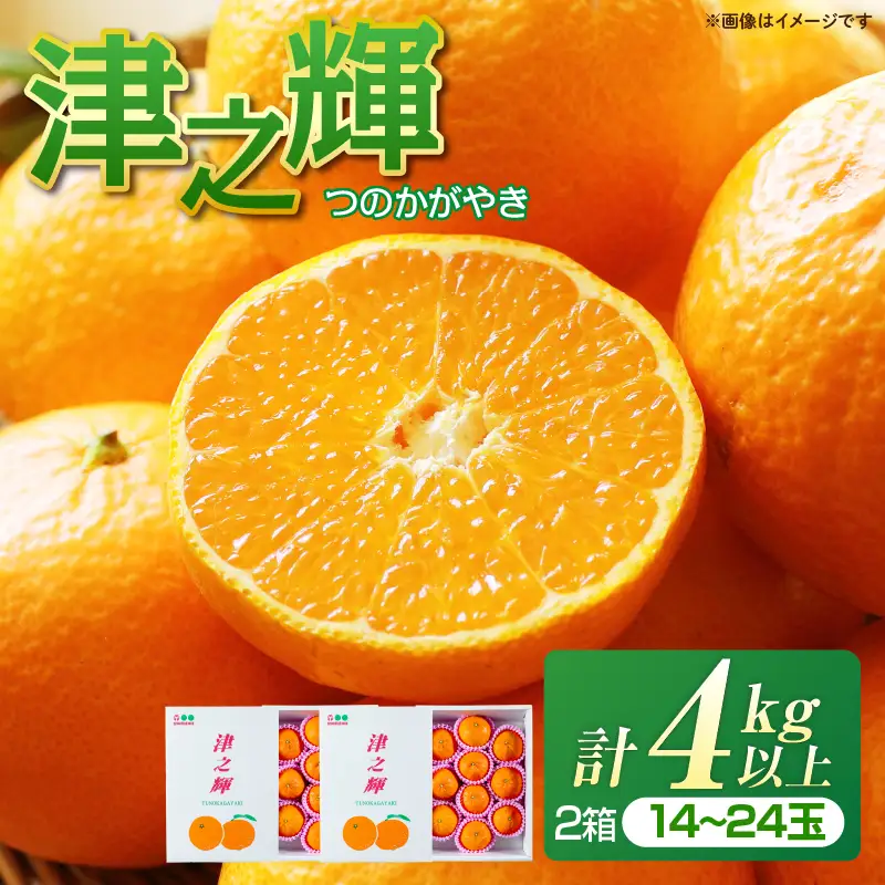 先行予約 みかん 津之輝 つのかがやき 4kg 希少 L ～ 4L フルーツ 果物 くだもの 柑橘_CAV18-26