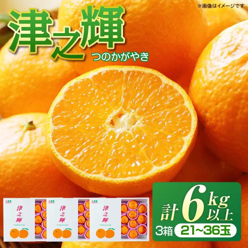 先行予約 みかん 津之輝 つのかがやき 6kg 希少 L ～ 4L フルーツ 果物 くだもの 柑橘_DC56-26