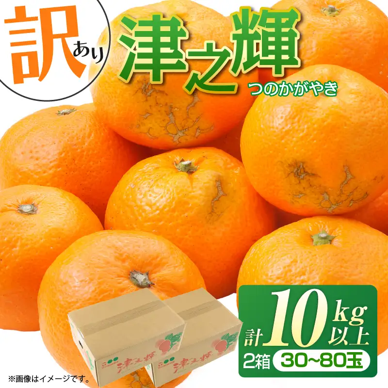 先行予約 訳あり みかん 津之輝 つのかがやき 10kg 希少 L ～ 4L サイズ不揃い フルーツ_DC57-26