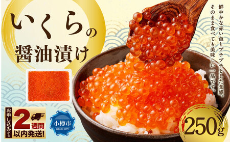 【 数量限定 】 いくらの醤油漬け 250g