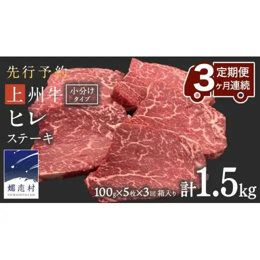 《 定期便 》 上州牛 ヒレステーキ 100g × 5枚 3ヶ月 連続お届け [AH020tu]