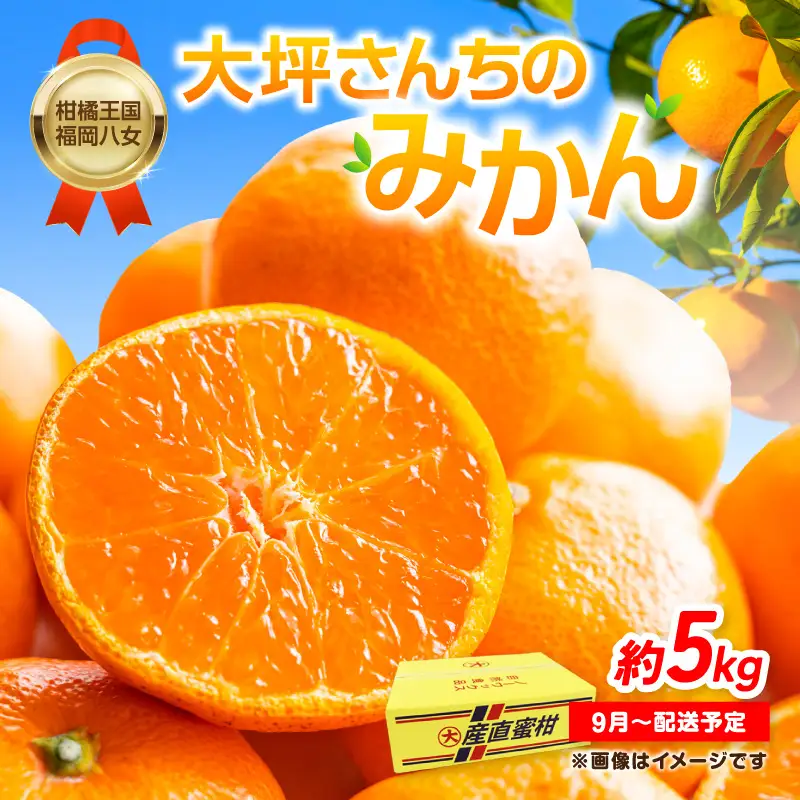 【9月下旬～2月下旬配送予定】【柑橘王国福岡・八女】農家直送！大坪さんちのみかん みかん 立花町 大坪農園 農産直売所 安心安全 肥料配合 福岡県 八女 171-001