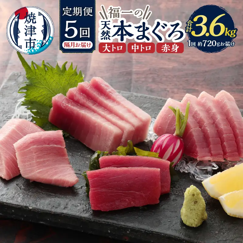 【定期便】 天然本まぐろセット 5回隔月で届け (b200-037)