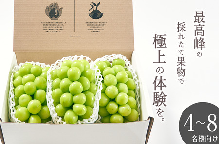 ＜2026年発送先行予約＞南アルプス市産 大粒シャインマスカット 3房入り 約2kg ALPAL008