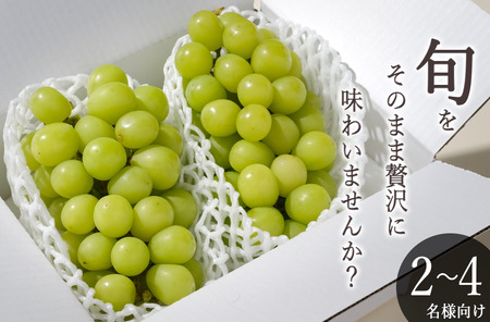 ＜2026年発送先行予約＞南アルプス市産 シャインマスカット 2房入り(約1.1kg) ALPAL009