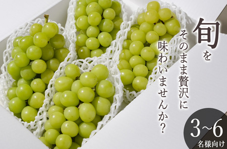 ＜2026年発送先行予約＞南アルプス市産 シャインマスカット 4～5房入り(約2.2kg) ALPAL010