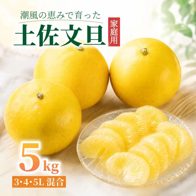 【先行予約】土佐文旦 5kg 3L-5L 文旦