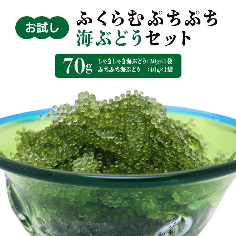 【お試し】ふくらむぷちぷち 海ぶどう セット 塩水タイプ 70g 沖縄 海ブドウ しゃきしゃき ぷちぷち 2種類 食べ比べ セット お試しセット 沖縄県グルメ 特産品 メール便 ネコポス 沖縄県 糸満市
