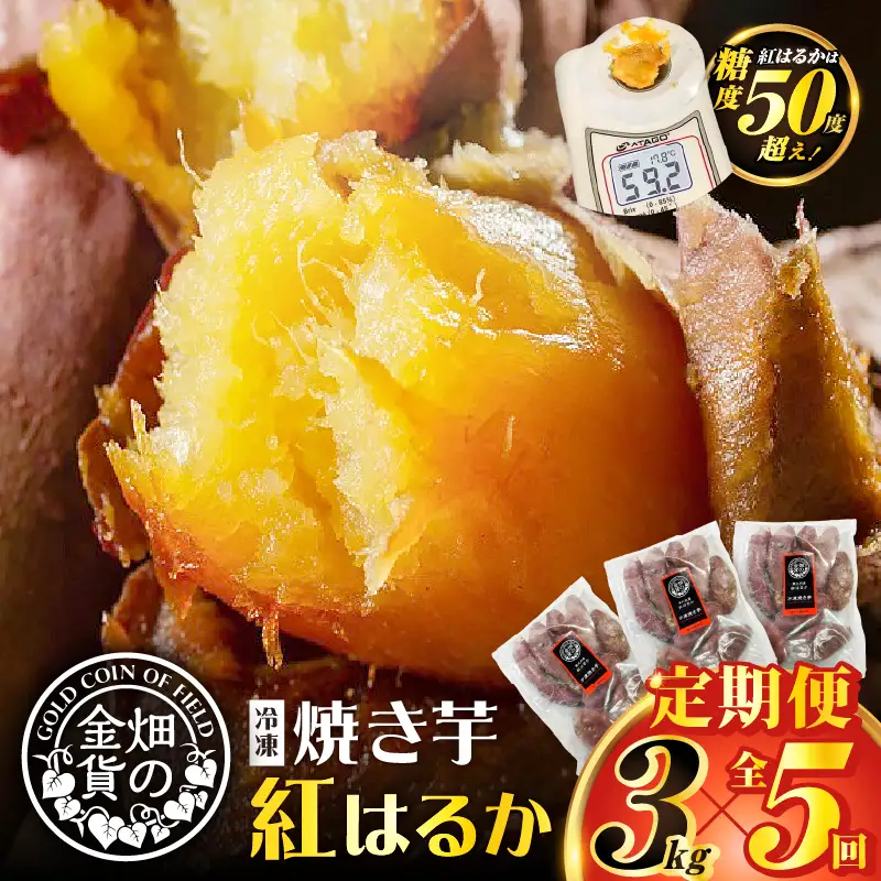 焼き芋 紅はるか 全5回定期便 3kg 【畑の金貨】 K181-T02 冷凍