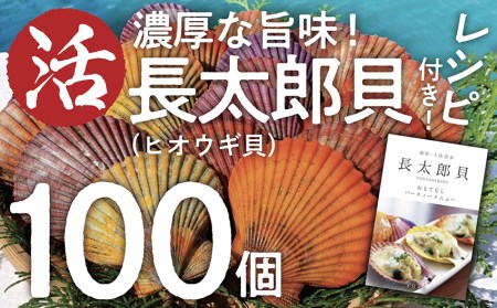 生け簀でお届けヒオウギ貝100個セットエアポンプ付【R00679】