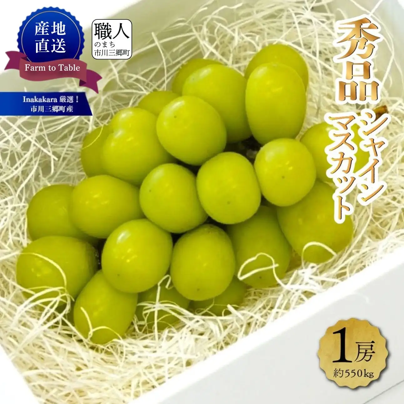 シャインマスカット 【2027年発送】秀品 山梨 1房 (約550g) ぶどう 葡萄 山梨県 フルーツ 果物 くだもの ギフト 産地直送 人気  Inakakara厳選 [5839-1977]