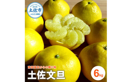 【先行予約】『南国高知からの贈り物』土佐文旦 訳あり（家庭用）6kg＜2027年2月下旬頃〜発送＞ 6キロ 文旦 サイズ混合 期間限定 数量限定 ぶんたん ブンタン 柑橘 みかん 果物 果肉 フルーツ 甘い 美味しい プリプリ ふるさと納税 【ファーマーズマーケットひなた】[BQBT002]