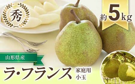 【令和8年産先行予約】 〈家庭用〉 小玉 ラ・フランス 約5kg (20～28玉 秀) 《令和8年10月下旬～11月下旬発送》 『フードシステムズ』 山形県 南陽市 [1391-R8]