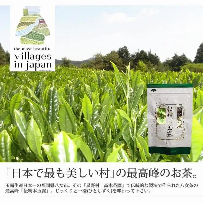 奥八女星野村 伝統本玉露 50g×1袋＜八女茶＞