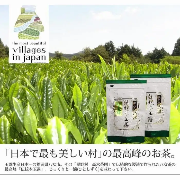 奥八女星野村 伝統本玉露 50g×2袋＜八女茶＞