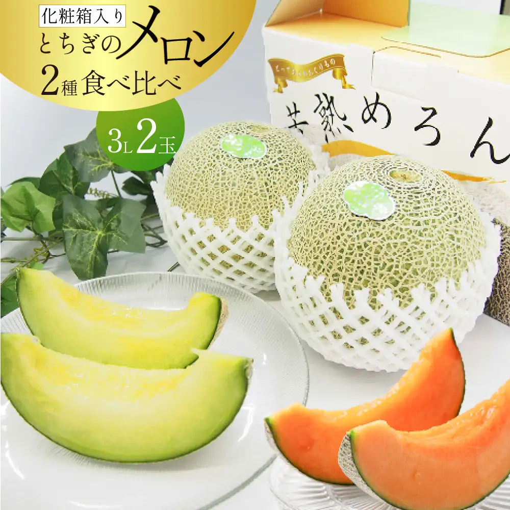 【2027年先行予約】JAはが野厳選！とちぎのメロン2種食べ比べ3L 2玉 化粧箱入り