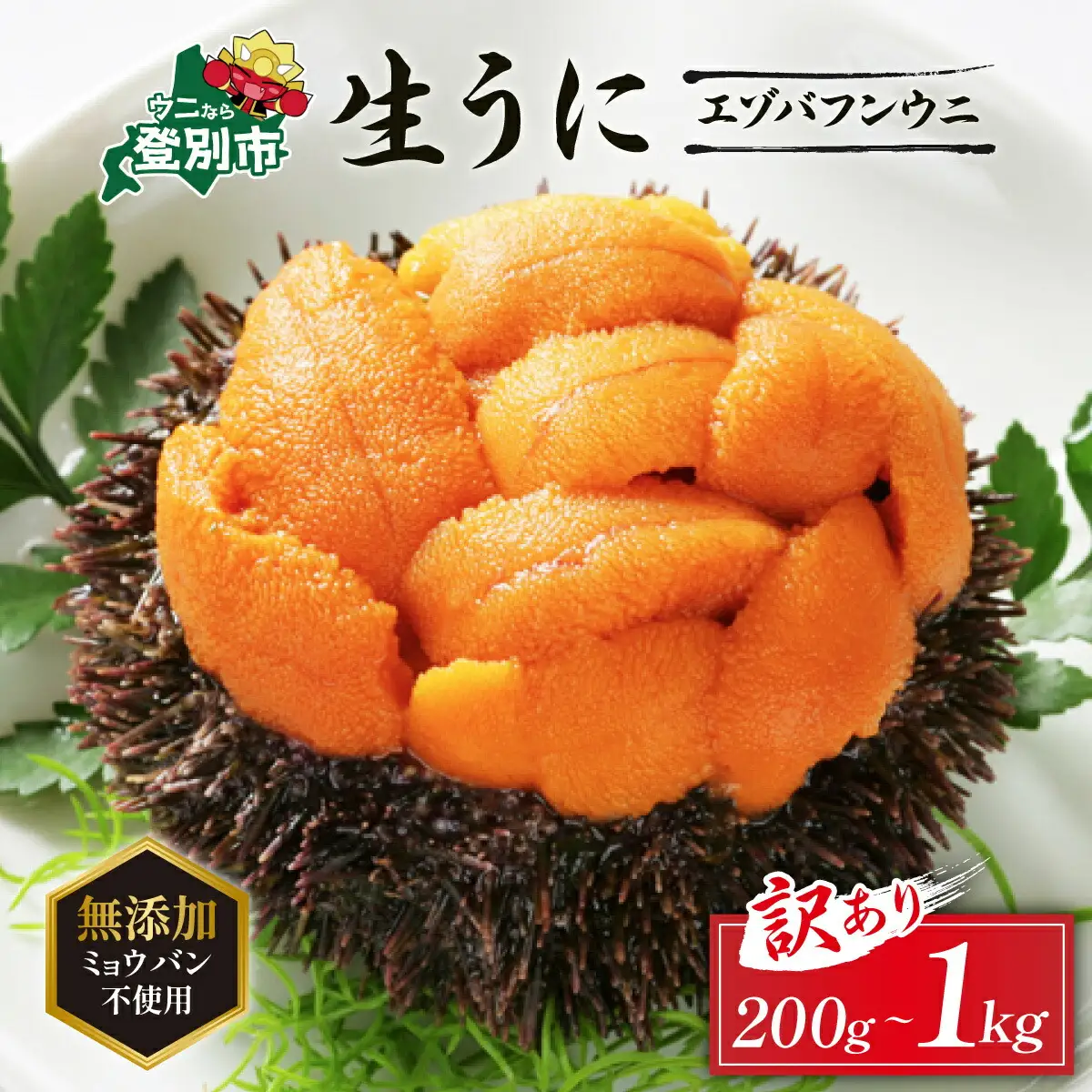 訳あり  ≪規格外品200g≫ 無添加エゾバフンウニ 塩水パック 200g  【mh-0479_B】