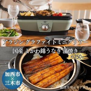 アラジン グラファイトミニグリラー よかわ錦うなぎ アラジン