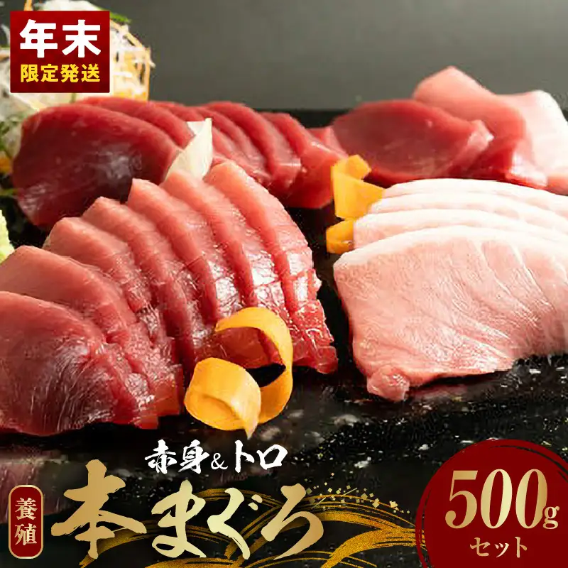 【年末発送】本マグロ (養殖) 赤身 ＆ トロ セット 500g_AZ6019_nm
