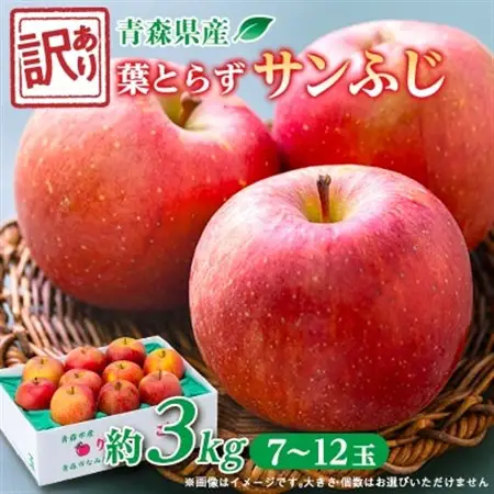 青森市産りんご「葉とらずサンふじ」約3kg(家庭用)_果物・フルーツ りんご  リンゴ 林檎_【配送不可地域：離島・沖縄県】【1466365】