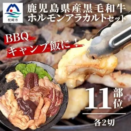 鹿児島県産黒毛和牛 ホルモン アラカルトセット 食べ比べ11部位 焼肉屋店主こだわり A3-203_肉 焼肉 牛肉 やきにく ヤキニク バーベキュー  肉 黒毛和牛 牛肉   肉  牛肉 _【配送不可地域：離島】【1166394】
